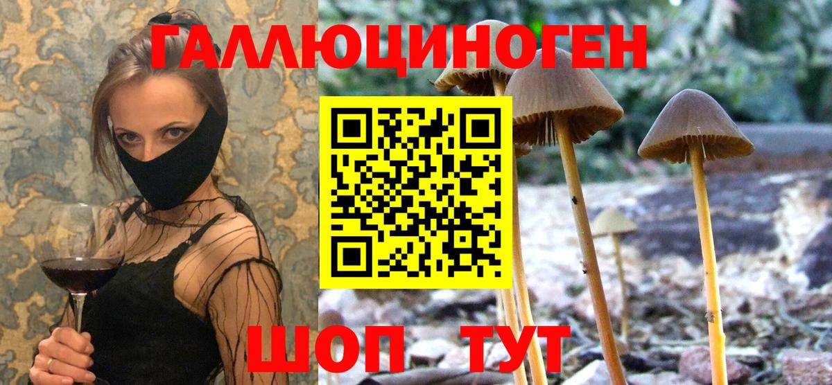 Кимры  Псилоцибиновые грибы мицелий  Галлюциногенные грибы Psilocybine cubensis  Вход с VPN 